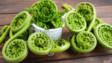 बरसात में सेहत का रखवाला 'लिंगुड़ा