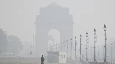 Delhi Pollution Update: 50% Staff Work From Home Mandatory
