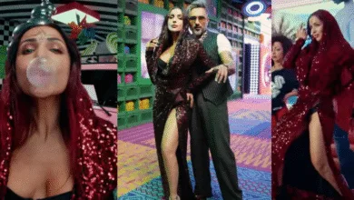 Honey Singh- Malaika Arora Chillgum song