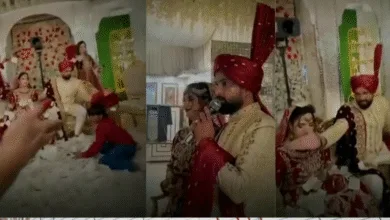 Indian Wedding Viral Video