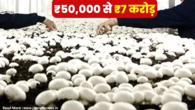 8वीं पास किसान ने ₹50,000 से शुरू की मशरूम फार्मिंग
