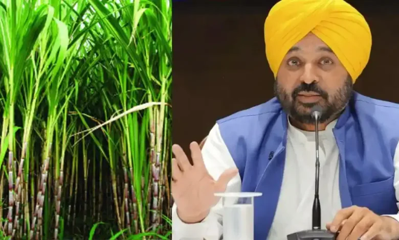 Punjab Sugarcane MSP 2025