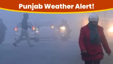 Punjab Weather Alert!