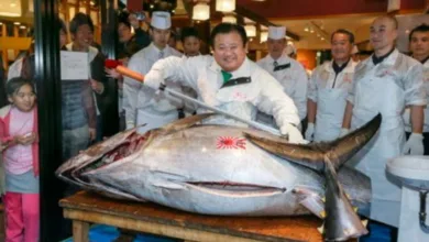 Bluefin Tuna Fish